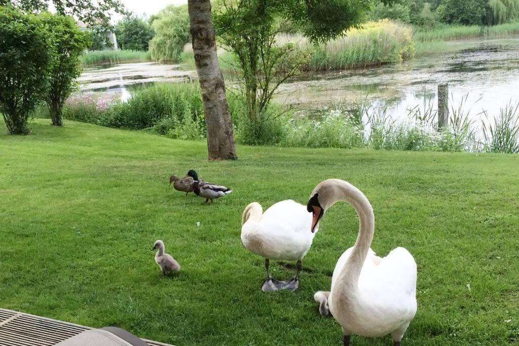 Cotswolds Lake Side Home With Luxury Spa Swallows Nest,Lower Mill Estate, Lakeside Home And Spa With A Harry Potter Cupboard Under The Stairs Somerford Keynes Esterno foto